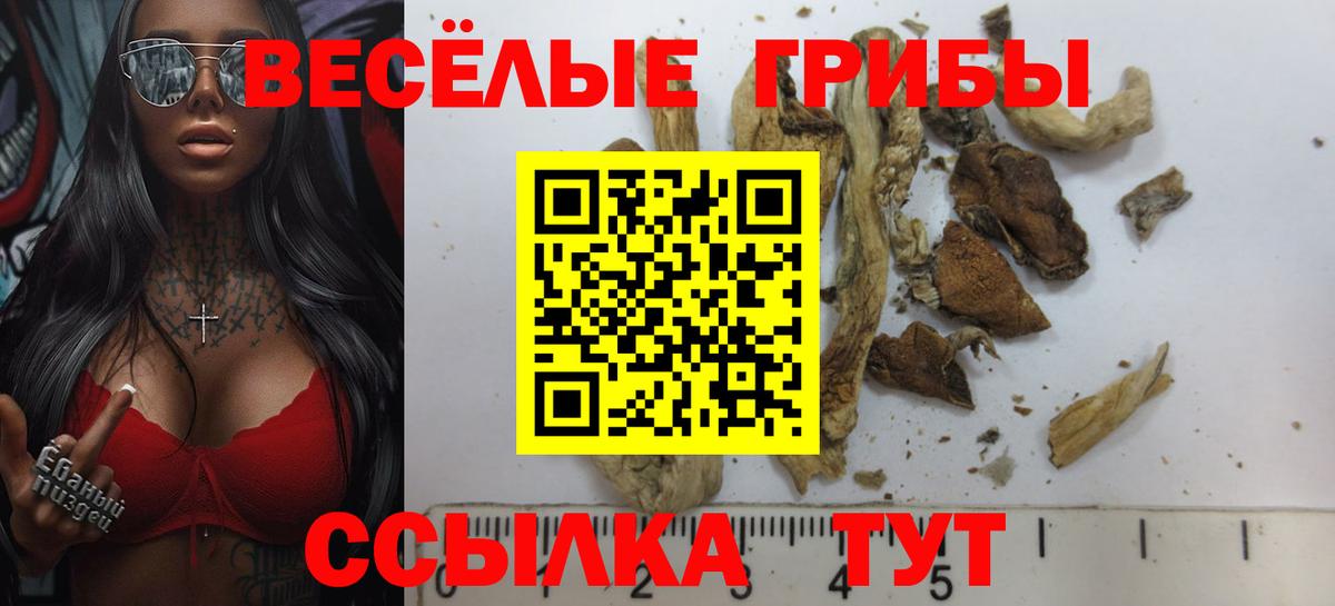 Электрогорск  Галлюциногенные грибы Cubensis  цена   Вход с VPN 