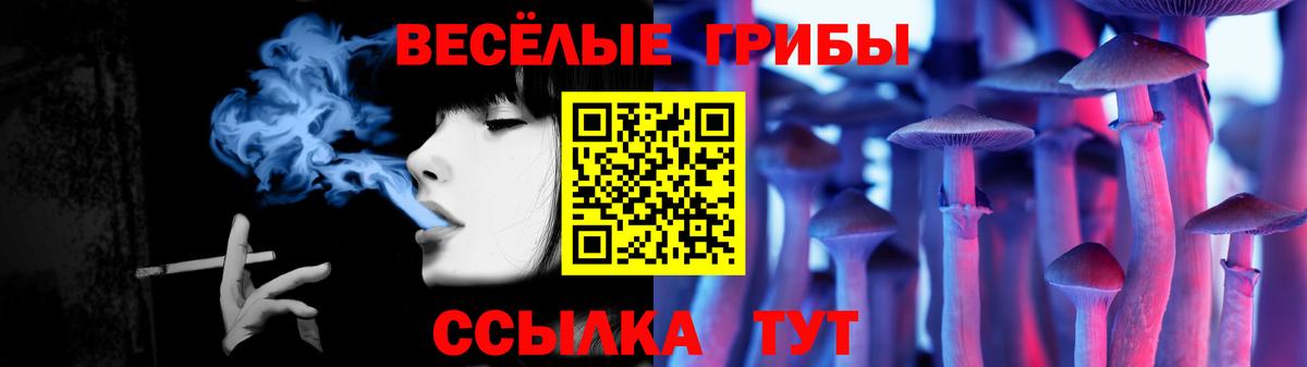 Псилоцибиновые грибы Psilocybine cubensis Электрогорск